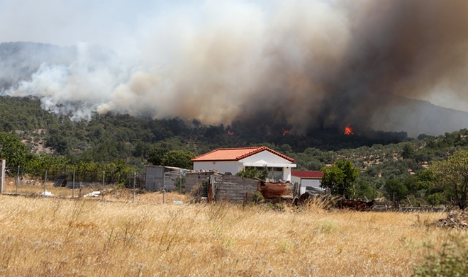 Καραθανασόπουλος για φωτιές: Προδιαγεγραμμένο έγκλημα σε βάρος του περιβάλλοντος