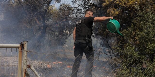Δεν χρειαζόμαστε νοσοκόμους και πυροσβέστες, αλλά παπάδες και φρουρούς…