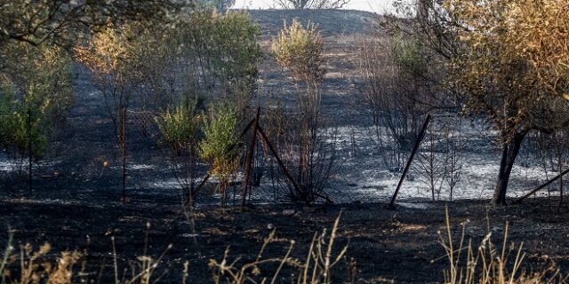 ΓΣΕΒΕΕ: Προτεραιότητα η καταγραφή των ζημιών και η στήριξη των πληγέντων