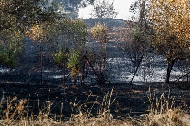 ΓΣΕΒΕΕ: Προτεραιότητα η καταγραφή των ζημιών και η στήριξη των πληγέντων