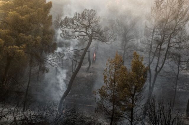 ΣΥΡΙΖΑ: Αυτοθαυμάζονται στα αποκαΐδια