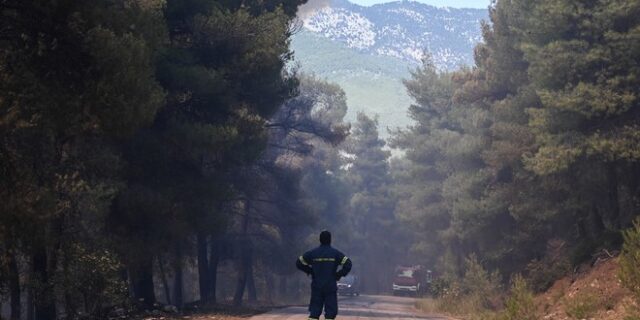 Ρέθυμνο: Χωρίς ενεργό μέτωπο η πληγείσα περιοχή του Δήμου Αγίου Βασιλείου