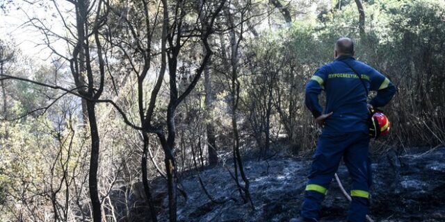 Φωτιά στο Ρέθυμνο: Ενεργοποιήθηκε η υπηρεσία Copernicus