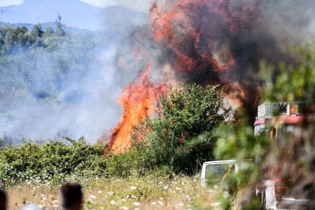 Πάτρα: Φωτιά σε αγροτοδασική έκταση στην περιοχή Καλλιθέα
