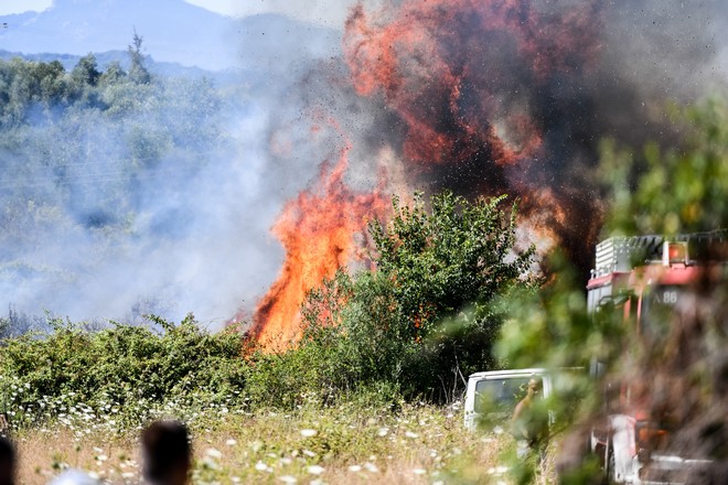Πάτρα: Φωτιά σε αγροτοδασική έκταση στην περιοχή Καλλιθέα