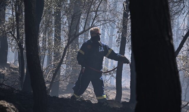 Φωτιά στην Ιτέα: Κάηκαν 12.153 στρέμματα – Τα 3.000 τμήμα του παραδοσιακού Ελαιώνα της Άμφισσας