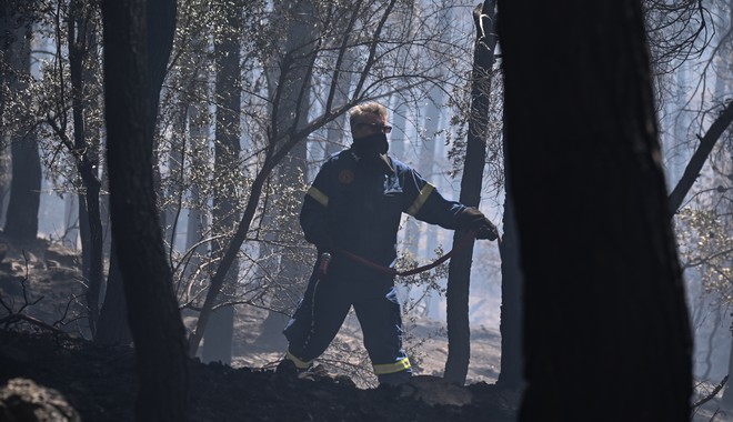 Φωτιά στην Ιτέα: Κάηκαν 12.153 στρέμματα – Τα 3.000 τμήμα του παραδοσιακού Ελαιώνα της Άμφισσας