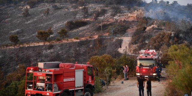 Φωτιές: Πολύ δύσκολη μέρα η Κυριακή – Περιπολίες και απαγόρευση κυκλοφορίας