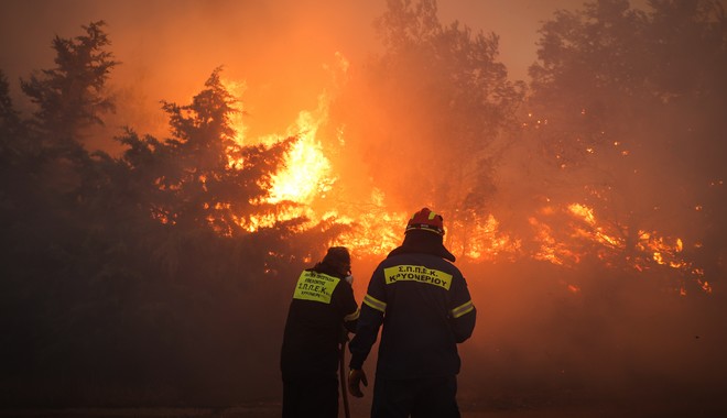 Φωτιά στο Σουφλί: Στις φλόγες ο μισός πυρήνας του δάσους της Δαδιάς – Δυσκολεύει την κατάσβεση ο πυκνός καπνός