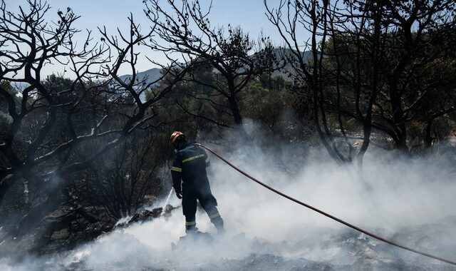 Φωτιές: Υπό έλεγχο τα μέτωπα στην Ηλεία – Οριοθετήθηκε η πυρκαγιά στην Κορινθία