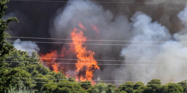 Νέες φωτιές σε Κύμη και Αχαΐα – Επιχειρούν ισχυρές πυροσβεστικές δυνάμεις