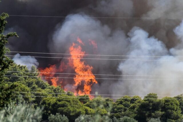 Νέες φωτιές σε Κύμη και Αχαΐα – Επιχειρούν ισχυρές πυροσβεστικές δυνάμεις