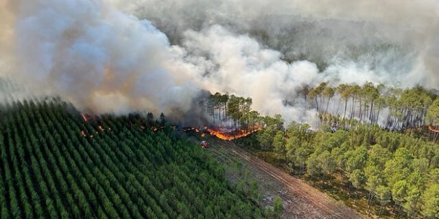 “Κόλαση” φωτιάς σε Γαλλία και Ισπανία λόγω του καύσωνα – Εκατοντάδες έχασαν τη ζωή τους