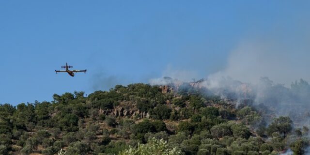 Δύο πύρινα μέτωπα στην Ηλεία – Φωτιά και στην Κορινθία