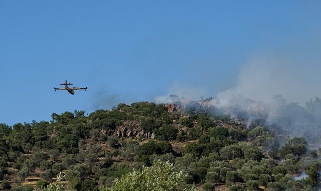 Φωτιά στο Δίστομο Βοιωτίας: Καλύτερη η εικόνα του πύρινου μετώπου