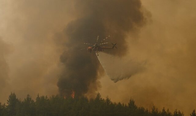 Φωτιά στο Σουφλί: Πύρινη κόλαση στο δάσος της Δαδιάς – Συγκλονιστικές εικόνες