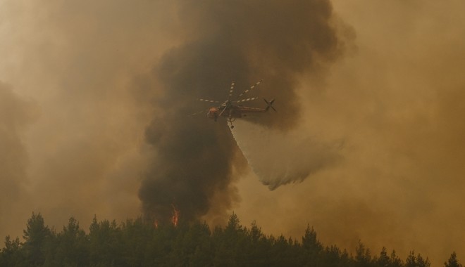 Φωτιά στο Σουφλί: Πύρινη κόλαση στο δάσος της Δαδιάς – Συγκλονιστικές εικόνες