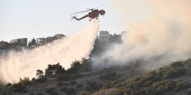 Φωτιές στο Ρέθυμνο: Για οργανωμένο σχέδιο μιλά ο δήμαρχος Γ. Ταταράκης