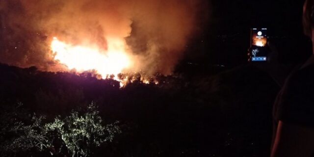 Φωτιά στην Ηλεία: Δύσκολη νύχτα με δύο εστίες στον Πύργο – Μια προσαγωγή για εμπρησμό στο Πόρτο Γερμενό