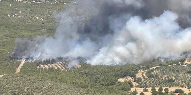 Φωτιά στα Μέγαρα: Εκκενώνεται ο οικισμός Ζάχουλη – Ενισχύονται οι δυνάμεις