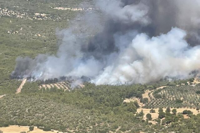 Φωτιά στα Μέγαρα: Εκκενώνεται ο οικισμός Ζάχουλη – Ενισχύονται οι δυνάμεις