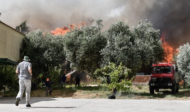 Μαίνεται η φωτιά σε Ηλεία και Δαδιά – Νέες αναζωπυρώσεις στη Λέσβο