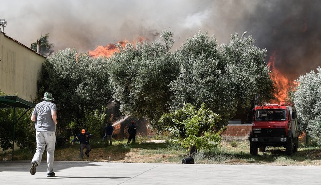 Μαίνεται η φωτιά σε Ηλεία και Δαδιά – Νέες αναζωπυρώσεις στη Λέσβο