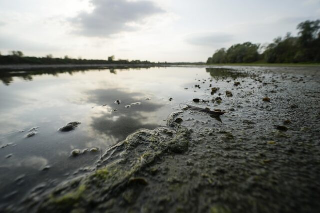 Ολλανδία: Κήρυξε κατάσταση λειψυδρίας λόγω ξηρασίας