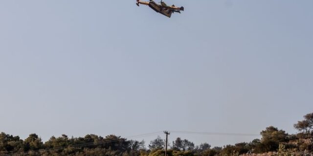 Φωτιά στη Μάνδρα: Πολύ καλύτερη η εικόνα σήμερα – Διάσπαρτες μικροεστίες