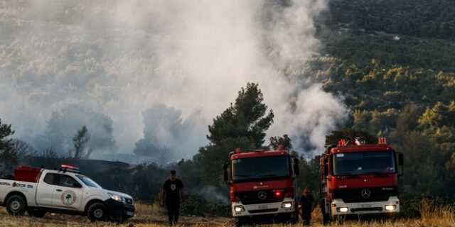 Φωτιά στα Μέγαρα – Κινητοποιήθηκαν επίγειες και εναέριες δυνάμεις