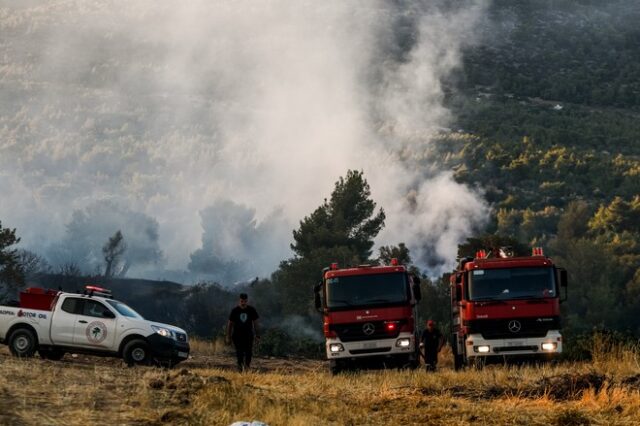 Φωτιές στην Αττική: “Στάχτη” 20.350 στρέμματα στην Πεντέλη – Ξεκίνησαν οι αυτοψίες στα καμένα