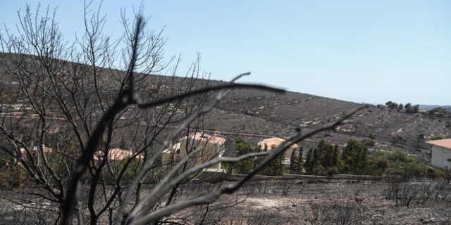 Φωτιά στην Πεντέλη: Σε κατάσταση έκτακτης ανάγκης ο δήμος για 6 μήνες