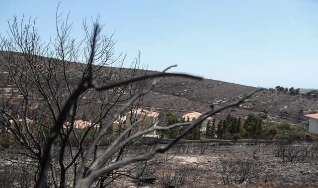 Φωτιά στην Πεντέλη: Σε κατάσταση έκτακτης ανάγκης ο δήμος για 6 μήνες