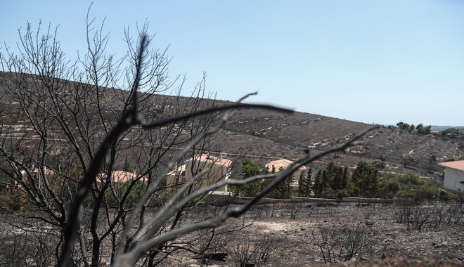 Φωτιές στην Αττική: Άνοιξε η πλατφόρμα για τους πληγέντες – Μέχρι 14.000 ευρώ η αποζημίωση