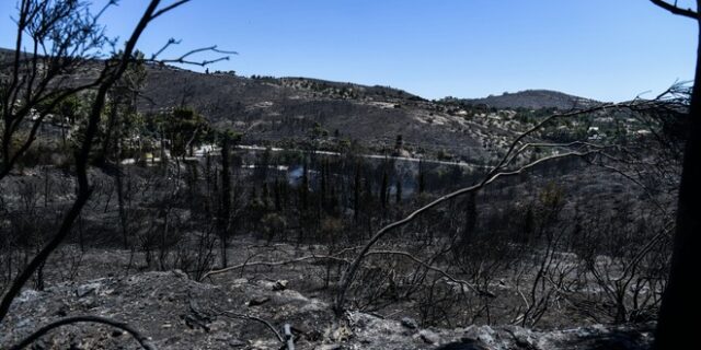 Φωτιά στην Πεντέλη – Εκπρόσωπος Πυροσβεστικής: “Δυο πυρκαγιές ξεκίνησαν σχεδόν ταυτόχρονα”