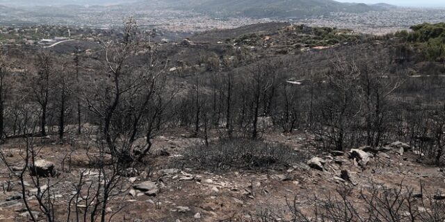 Φωτιές στην Αττική: Αποκαρδιωτικές εικόνες – Στάχτη, αποκαΐδια και καμένες περιουσίες