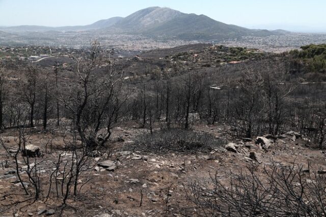 Φωτιές στην Αττική: Αποκαρδιωτικές εικόνες – Στάχτη, αποκαΐδια και καμένες περιουσίες