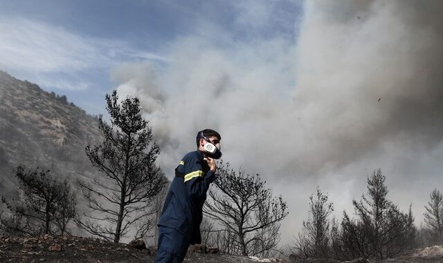 Σε εξέλιξη φωτιές σε Εύβοια, Κρήτη και Βοιωτία