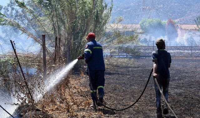 Ηλεία: Μεγάλη φωτιά στη Σπιάντζα – Μια ανάσα από τα σπίτια οι φλόγες
