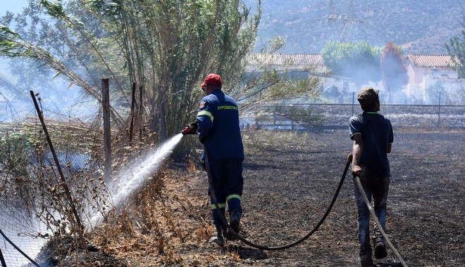 Άμεσα αντιμετωπίστηκε νέα φωτιά στην Άρτα – 3.800 φωτιές σε δάση από την έναρξη της αντιπυρικής περιόδου