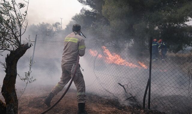 Εύβοια: Μαίνεται η φωτιά στα Ψαχνά – Καίει ανεξέλεγκτη σε δύσβατη περιοχή