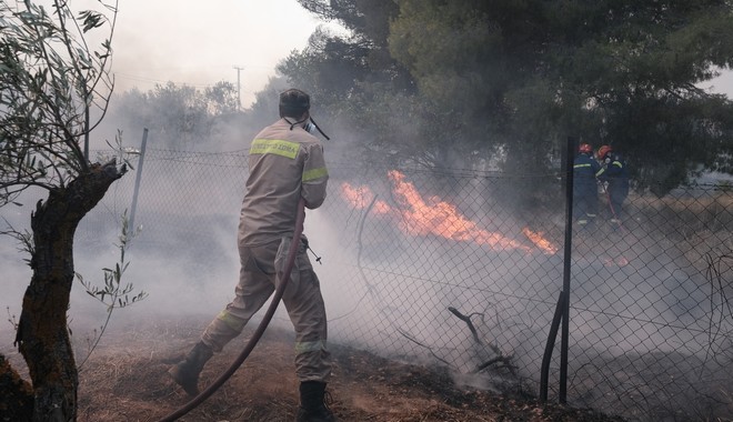 Εύβοια: Μαίνεται η φωτιά στα Ψαχνά – Καίει ανεξέλεγκτη σε δύσβατη περιοχή