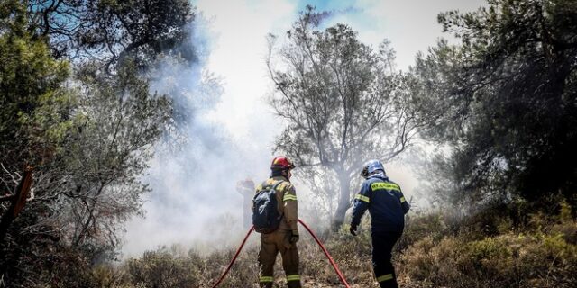 Καύσωνας Κλέων: Οι περιφέρειες με τον υψηλότερο κίνδυνο πυρκαγιάς