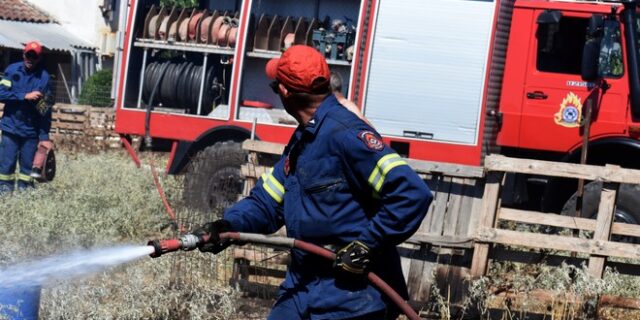 Φωτιά στο Μουζάκι Ηλείας – Επιχειρούν και εναέρια μέσα