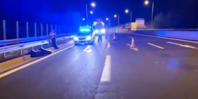 Κοζάνη: Αρκούδα συγκρούστηκε με αυτοκίνητο στην Εγνατία Οδό – Τραυματίστηκε θανάσιμα