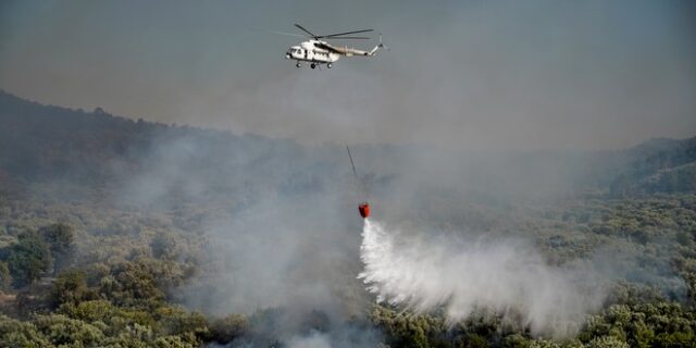 Φωτιά στη Λέσβο: Καλύτερη εικόνα στη Βρίσα – Μαίνεται η πυρκαγιά στη Δαδιά