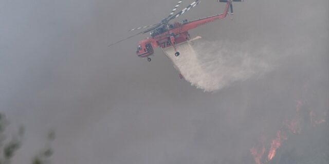 Φωτιά στην Ηλεία: Συνεχίζονται οι προσπάθειες για να τεθεί υπό έλεγχο – Αγωνία για αναζωπυρώσεις λόγω ανέμων
