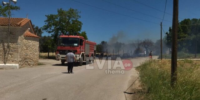 Εύβοια: Φωτιά στον Κάμπο Βασιλικού – Ισχυρές πυροσβεστικές δυνάμεις στο σημείο