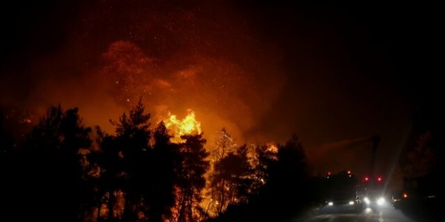 Φωτιά στη Φθιώτιδα: Ολονύχτια μάχη με τις φλόγες σε πυκνό πευκοδάσος