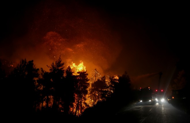 Φωτιά στη Φθιώτιδα: Ολονύχτια μάχη με τις φλόγες σε πυκνό πευκοδάσος